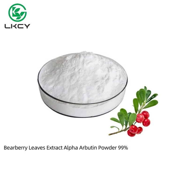 Bearberry 잎 추출물 알파 알부틴 분말